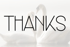 Choconut Product Image 8