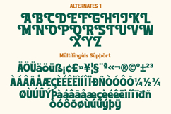 Choldem Rosther - Vintage Serif Display Font Product Image 8