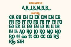 Choldem Rosther - Vintage Serif Display Font Product Image 9