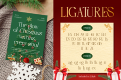 Cholmex Product Image 6