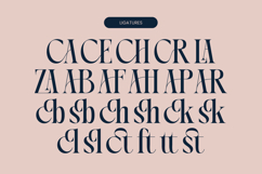 Chonza Bularoi - Modern Serif Font Product Image 18