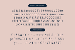 Chonza Bularoi - Modern Serif Font Product Image 19