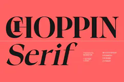 Choppin | 91 Style Font Product Image 1
