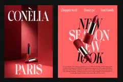 Choppin Serif | 91 Style Font Product Image 10