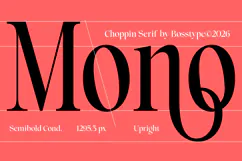 Choppin Serif | 91 Style Font Product Image 11