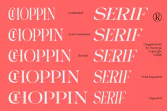 Choppin | 91 Style Font Product Image 2