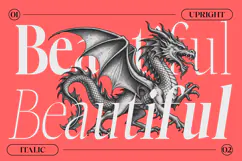Choppin | 91 Style Font Product Image 3