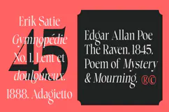Choppin | 91 Style Font Product Image 6