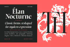 Choppin | 91 Style Font Product Image 7