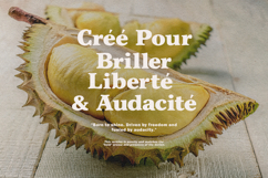 Chorepo Casual Serif Display Font Product Image 2