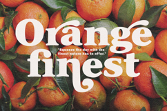 Chorepo Casual Serif Display Font Product Image 4