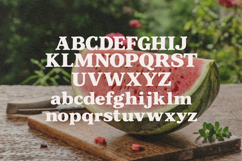 Chorepo Casual Serif Display Font Product Image 5