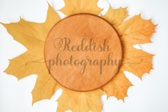 Round wood sign mockup JPG 300 dpi, blank wood sign mockup Product Image 1