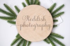 9 Round wood sign mockup JPG 300 dpi, blank wood sign mockup Product Image 10