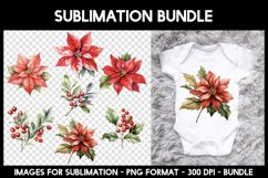 7 Poinssettia Sublimation I Christmas Florals Watercolour Product Image 1