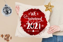 CHRISTMAS 2021 PANDEMIC ORNAMENTS SUBLIMATION- 2021 PANDEMIC CHRISTMAS ORNAMENTS SUBLIMATION