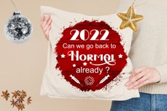 CHRISTMAS 2021 PANDEMIC ORNAMENTS SUBLIMATION- 2021 PANDEMIC CHRISTMAS ORNAMENTS SUBLIMATION