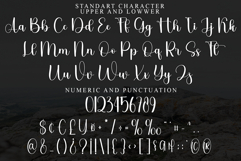 Christmas Alphabet Product Image 4