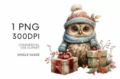 Christmas Owl Paper JPG & Image PNG Product Image 3