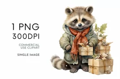 Christmas Raccoon Duo Digital Paper JPG & Image PNG Product Image 3