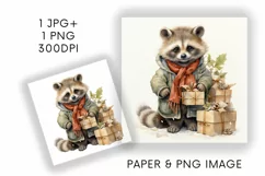 Christmas Raccoon Duo Digital Paper JPG & Image PNG Product Image 1