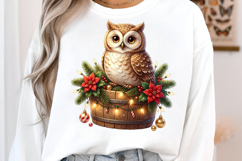Christmas Animals Clipart PNG Product Image 3