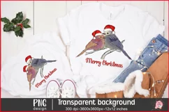 Christmas Bird Png, Christmas Cardinal, Holiday Decor, Christmas Sublimation
