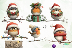 Christmas Birds Clipart Product Image 4