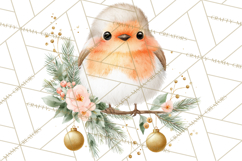 Christmas Bird Clipart, Watercolor Holiday Bird PNG Product Image 2