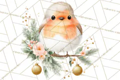 Christmas Bird Clipart, Watercolor Holiday Bird PNG Product Image 2