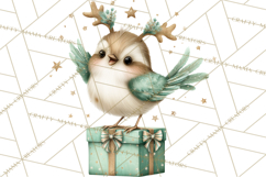 Christmas Bird Clipart, Watercolor Holiday Bird PNG Product Image 2