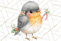 Christmas Bird Clipart, Watercolor Holiday Bird PNG Product Image 2