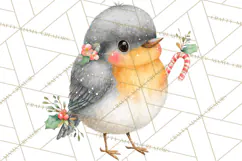Christmas Bird Clipart, Watercolor Holiday Bird PNG Product Image 2