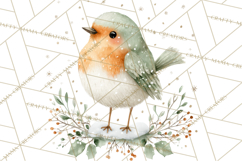 Christmas Bird Clipart, Watercolor Holiday Bird PNG Product Image 4