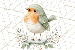 Christmas Bird Clipart, Watercolor Holiday Bird PNG Product Image 4