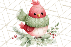 Christmas Bird Clipart, Watercolor Holiday Bird PNG Product Image 5