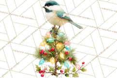 Christmas Bird Clipart, Watercolor Holiday Bird PNG Product Image 5