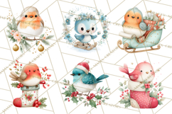 Christmas Bird Clipart, Watercolor Holiday Bird PNG Product Image 8