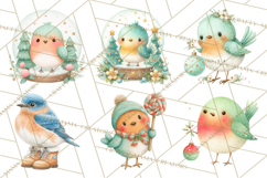 Christmas Bird Clipart, Watercolor Holiday Bird PNG Product Image 7