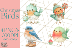 Christmas Bird Clipart, Watercolor Holiday Bird PNG Product Image 1