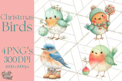 Christmas Bird Clipart, Watercolor Holiday Bird PNG Product Image 1