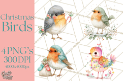 Christmas Bird Clipart, Watercolor Holiday Bird PNG Product Image 1
