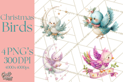 Christmas Bird Clipart, Watercolor Holiday Bird PNG Product Image 1