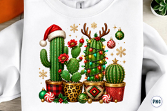 Christmas cactus PNG Product Image 1