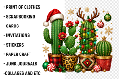 Christmas cactus PNG Product Image 2