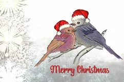 Christmas Bird Png, Christmas Cardinal, Holiday Decor, Christmas Sublimation