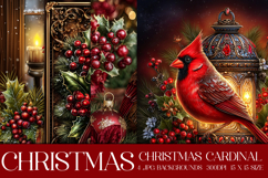Christmas Background, Christmas Cardinal Bird Backgrounds s1 Product Image 1