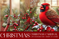 Christmas Background, Christmas Cardinal Bird Background s10 Product Image 1