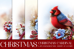 Christmas Background, Christmas Cardinal Bird Background s13 Product Image 1