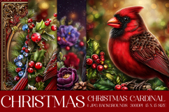 Christmas Background, Christmas Cardinal Bird Backgrounds s3 Product Image 1